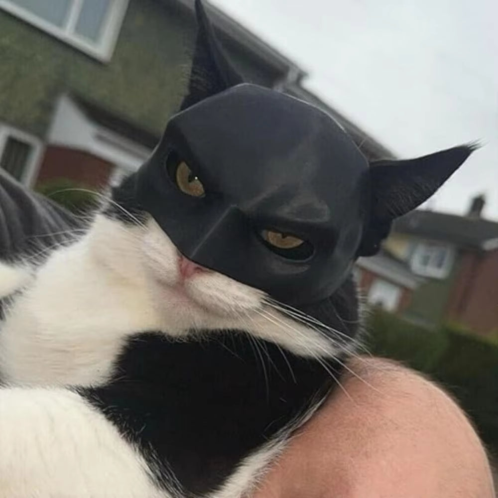 New Black Bat Cat Avenger Mask Cat Mask Avenger Mask Matte Cute Bat Mask Cool Superhero Pet Cat Dog Toy